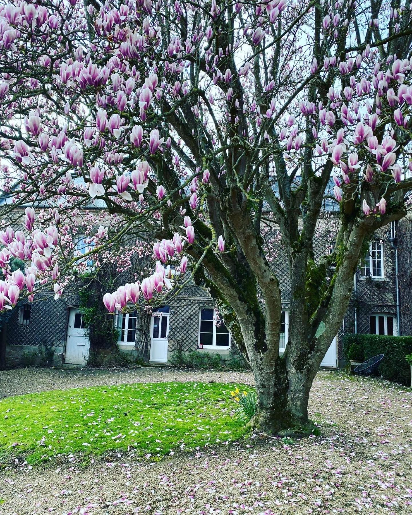 Bed and Breakfast La Benjamine Cany-Barville Экстерьер фото